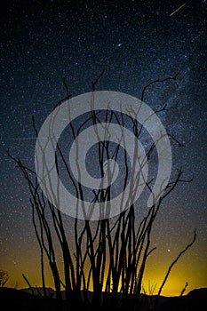 Milky way at night in Anza Borrego Desert State Park photo