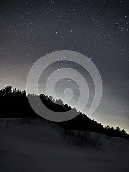 Orion constellation night sky stars forest and snow photo