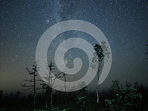 Milky way night sky stars observing over forest