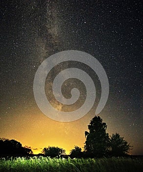 Milky way night sky stars observing over forest