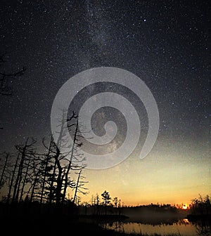 Milky way Night sky stars observing over swamp