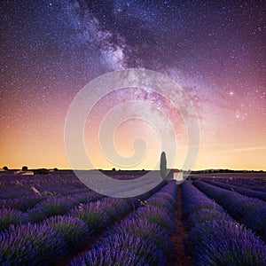 Milky Way over lavender field in Provence France