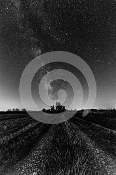 Milky way over a meadow and distant trees