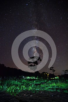 Milky way and silhouette of tree, Long exposure photograph, with