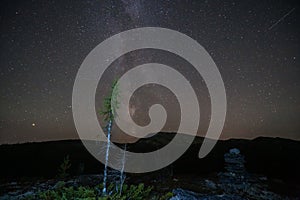 Milky way and starry sky over night scene outdoors in the forest and the mountains with old tree in the front.