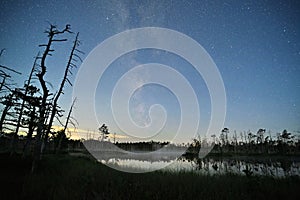Milky way stars fores in Latvia