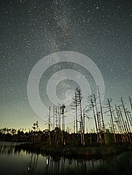 Milky way stars night sky Lyra constellation observing