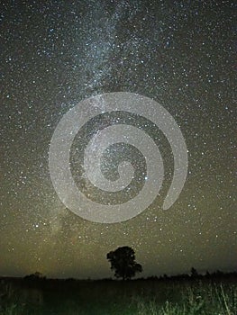 Milky way stars night sky Lyra constellation observing