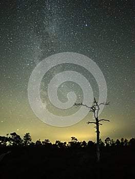 Milky way stars night sky Lyra constellation observing