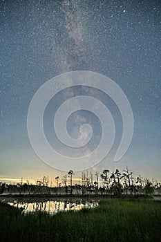 Milky way stars over swamp in Latvia