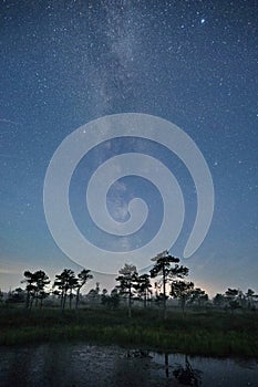 Milky way stars over swamp in Latvia