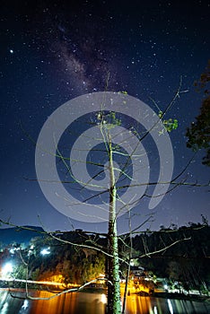 Milky way, Stars, tree and lake