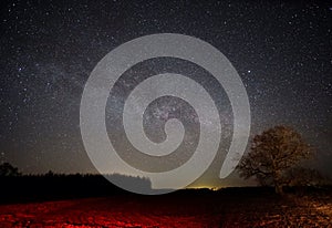 Milky way strars observing over latvian fields