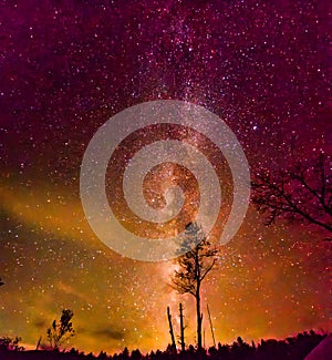 Milkyway stars for days