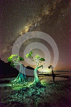 Milkyway at Walakiri Beach, Sumba Island Indonesia