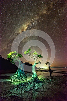 Milkyway at Walakiri Beach, Sumba Island Indonesia photo