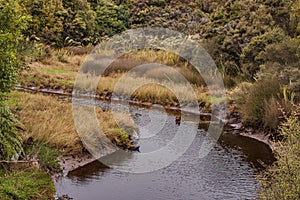 Mill Creek at Stewart Island in New Zealand.