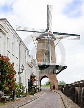Mill Rijn en Lek photo