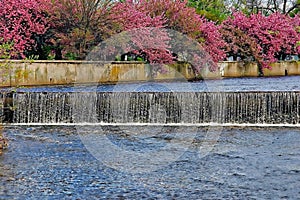 Mill River Dam Nature Setting