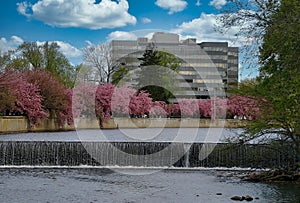 Mill River Dam Nature Setting