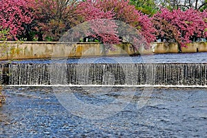 Mill River Dam Nature Setting