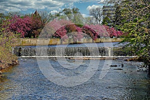 Mill River Dam Nature Setting