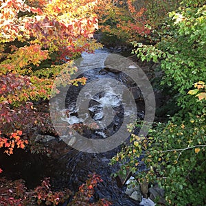 Mill run Stream in Gall