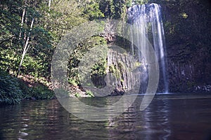 Milla Milla Falls on the Atherton Tablelands, Queensland