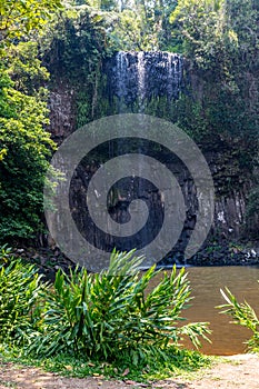 Milla Milla Falls, Atherton Tablelands, Queensland, Australia