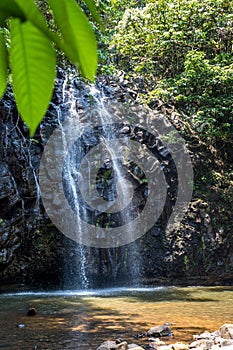 Milla Milla Falls, Atherton Tablelands, Queensland, Australia