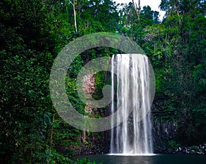 Millaa Millaa Falls waterfall with green plants around photo