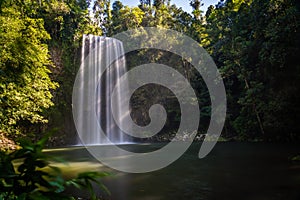 Millaa Milla Falls in the summer in Queensland, Australia, long exposure photo