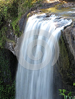 Millaa Millaa Falls 2