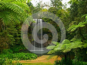 The Millaa Millaa falls photo