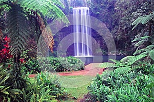 Millaa Millaa Falls - Australia photo