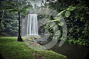 Millaa Millaa Falls