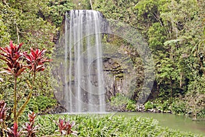 Millaa Millaa tropical waterfall