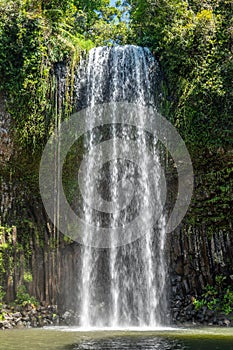 Millaa Millaa Waterfall, far north Queensland, Australia photo