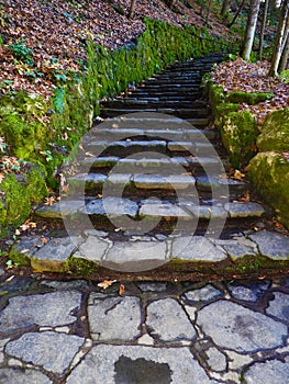 Millard Fillmore Glen State Park stone staircase steps photo