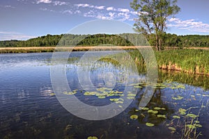 Mille Lacs Kathio State Park is located on Mille Lacs Lake in No