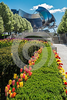 Millenium Park Pritzker Pavilion