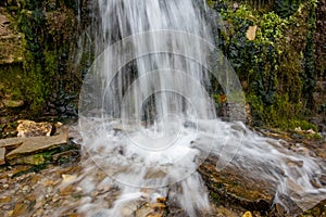 Millennial cold forest creek, small waterfall, long exposure