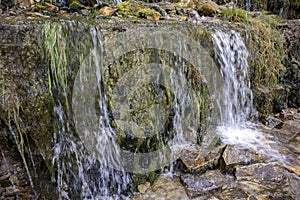 Millennial cold forest creeks, little waterfalls