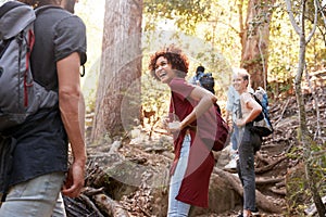 Millennials hiking up a forest trail turning around to look back at friends, three quarter length