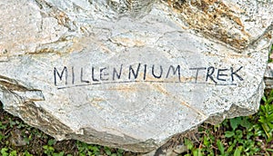 Millennium Trek