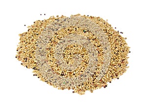Millet birdseed in a round shape on white