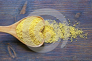 Millet grains in wooden spoon. Copy space