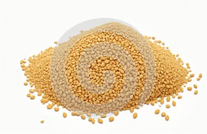 Millet groats over white background