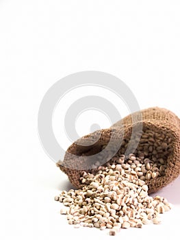 Millet , Put it in the bag , Put on a white background.