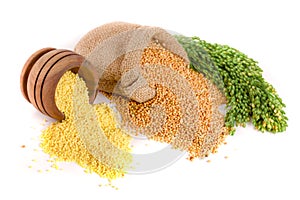 Millet in a wooden bowl, burlap bag and green spikelets isolated on white background